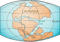 Суперконтинент Лавразия