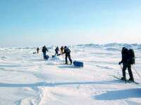 Кто первым исследовал Северный полюс